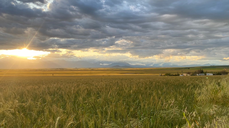 0 Bedroom Property for Sale in Koringberg Western Cape